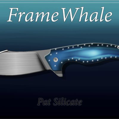 Projet : Le "FrameWhale"