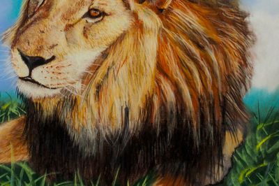 Dans la savane 3, le Lion