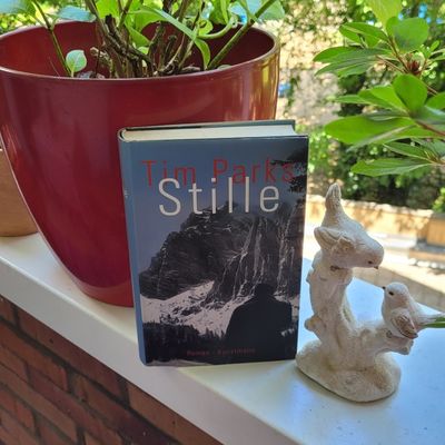 Stille - Tim Parks - 