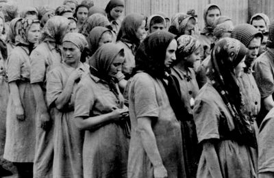Auschwitz-Birkenau, l’horreur nazie racontée par les femmes qui l’ont subie
