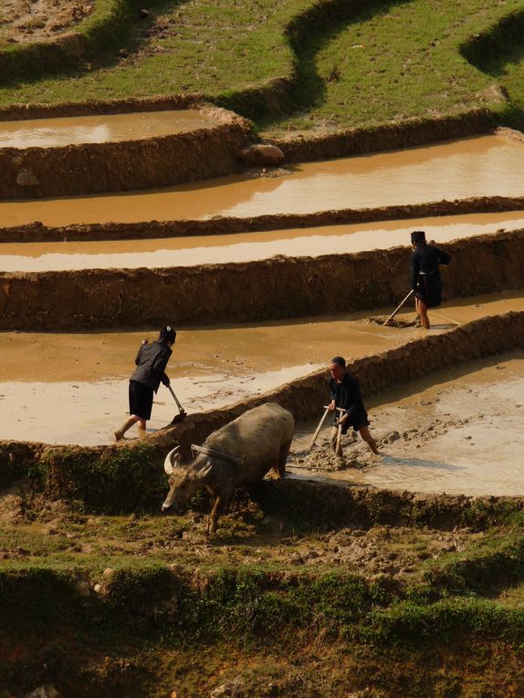 Album - Vietnam