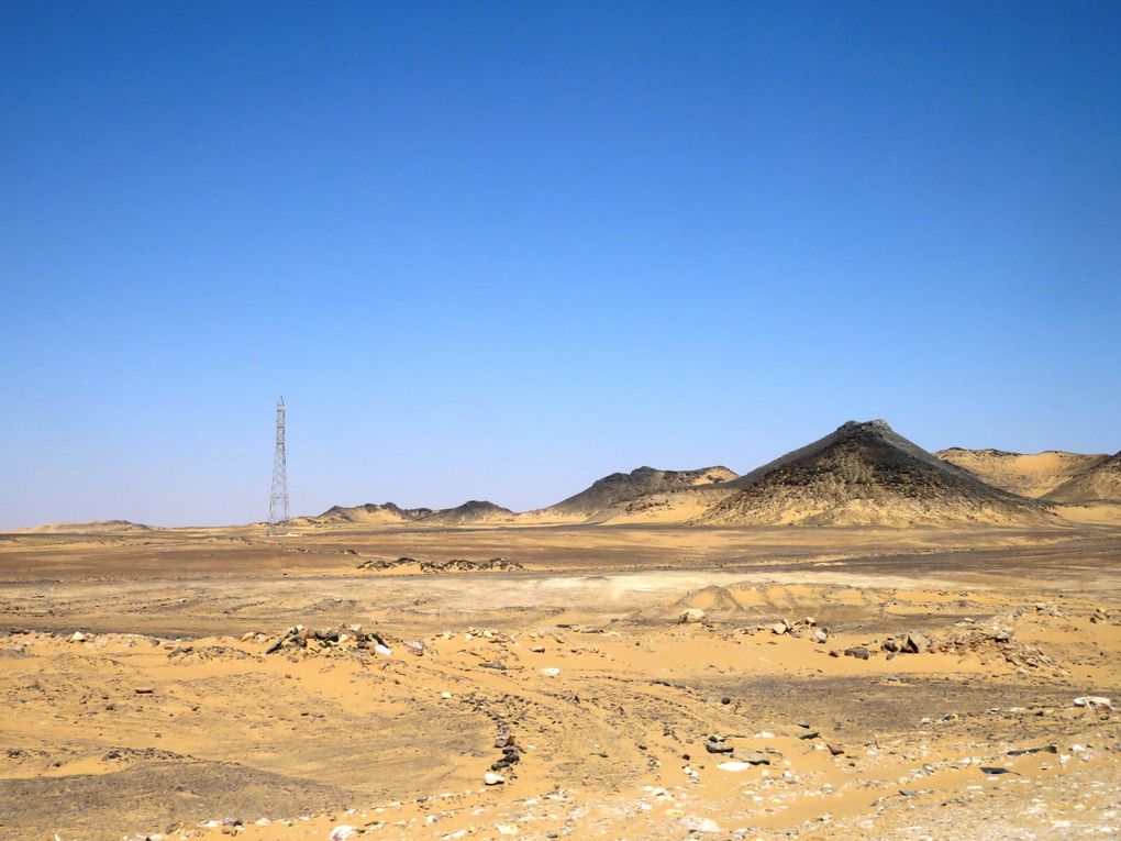 Croisière sur le Nil...... cinquième jour, déplacement à Abou Simbel , puis retour à Luxor.