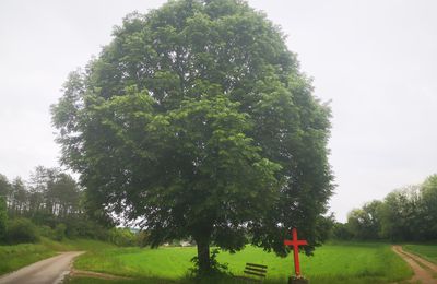 L'arbre, la croix et le banc