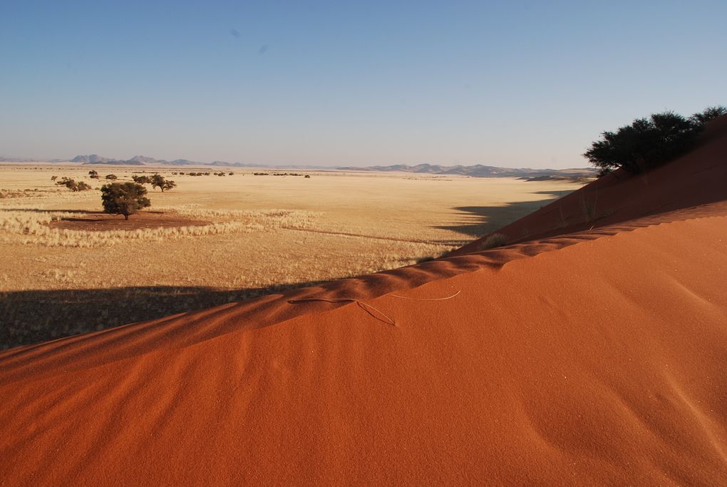 Album - Desert-du-Namib