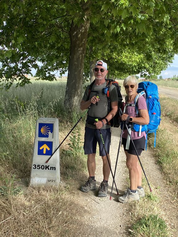 Étape 11 : Bercianos del Réal Camino - Reliegos