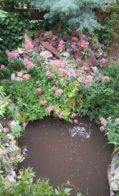 Travaux de mon jardin Le Clos fleuri en août 2023 