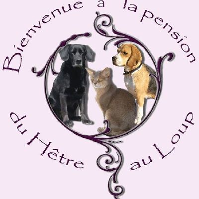 Pension chien et chat