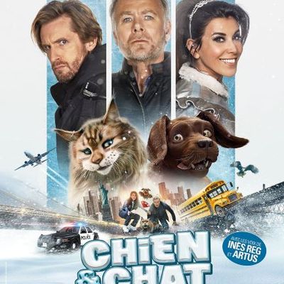 Critique éclair #041 - SEMAINE FRANÇAISE - Chien et chat (2024)