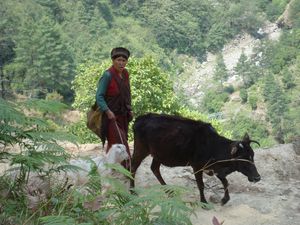 Trekking du Langtang – 2ème partie : l'Himalaya en plein cœur