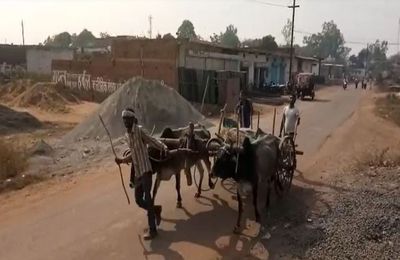 मौत पर भारी पैसों की भूख, कटी-फटी बॉड़ी को ले जाना पड़ा बैलगाड़ी पर