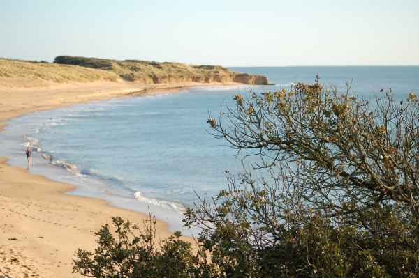 Album - le-bord-de-mer