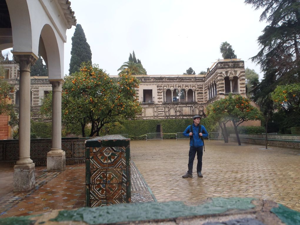 seville,4 jours pass'e là bas.Surment une ds plu beles viles que j'ai visité,où que l'on pose les yeux on en prend plein la vue.Le climat etait meilleur,ben qu'humide, ce qui m'aura permis de profiter de la ville au maximum.