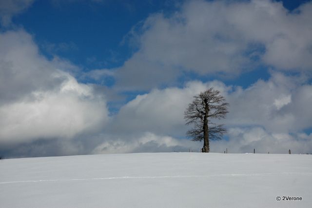 Album - Regard Paysages