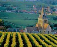 #Half Dry Champagne Producers Champagne Region France page 12