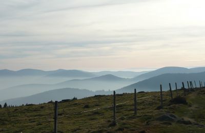 Balade en Alsace...