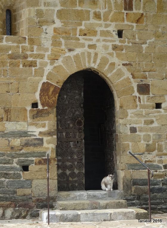 Détails de la porte et des ferrures ( église de Prunet Belpuig)