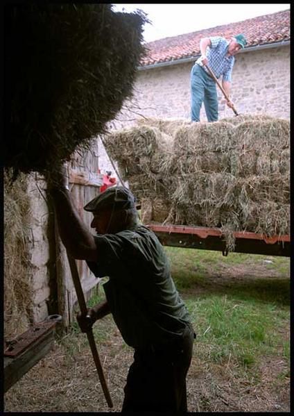 Album - agriculture