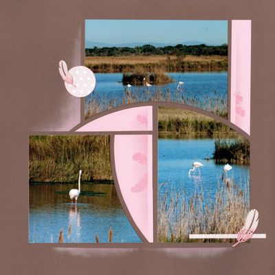 Flamands roses