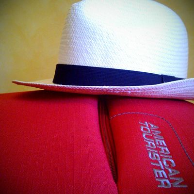 Il se nomme American Tourister, pèse 22.7kg... La famille se porte bien