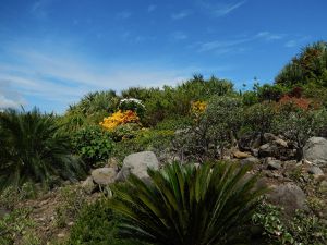 Les plantes, fleurs, arbres, il faut ouvrir ses yeux...