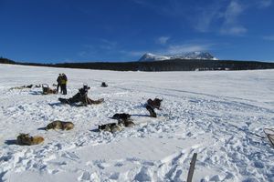 Trilogie des neiges