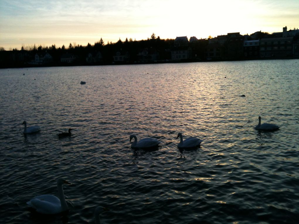 Reykjavík au soleil couchant