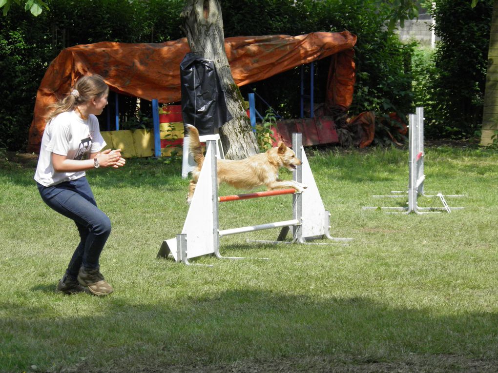 Marion/Flamme, Dominique/Apache, Nicole/Lyra, Solène/Pilou, Bastien/Fidjie, et le gros nounours Diabolo.