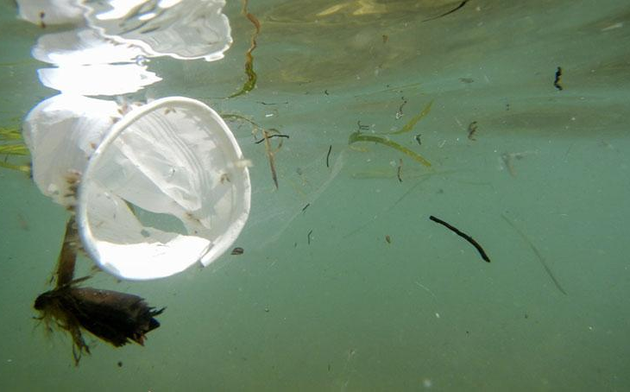 #STARTUP #DEEPTECH #OCEAN #MENTORAT #FRANCESTARTUPOCEANS : LE PROJET #42 Ender Ocean