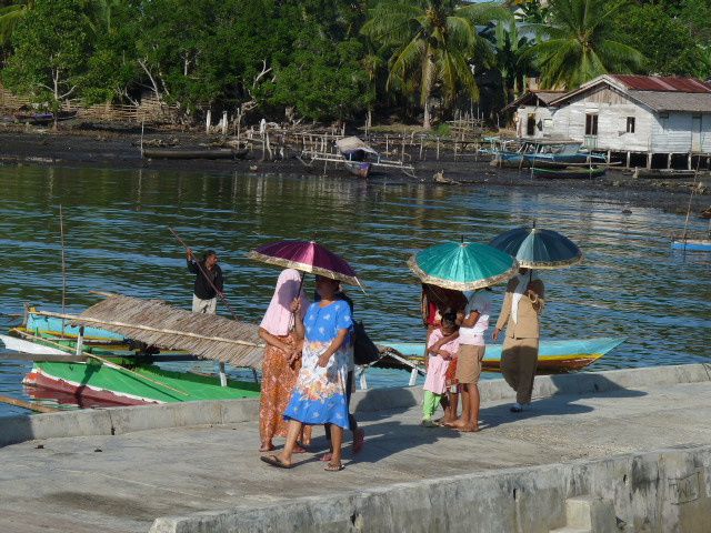 Du paradis des îles Togians et des peuples Bajaux aux rites du pays Toraja!!