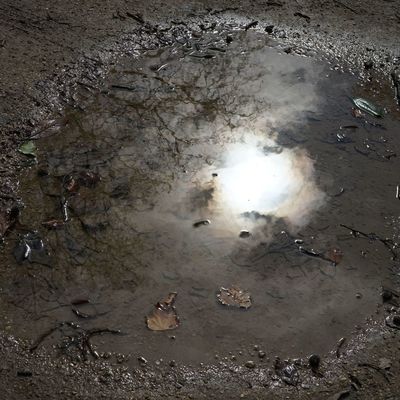 L’œil de Sauron ou l’œuf sous le plat.