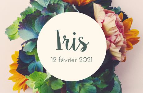 Iris