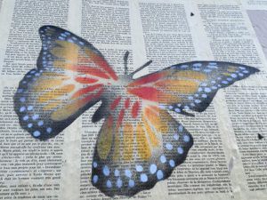 Mr Chat - La symbolique du papillon - Ernesto Novo - Rue Alibert