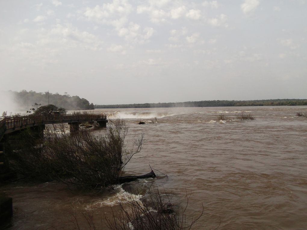 Album - chutes d'Iguazu