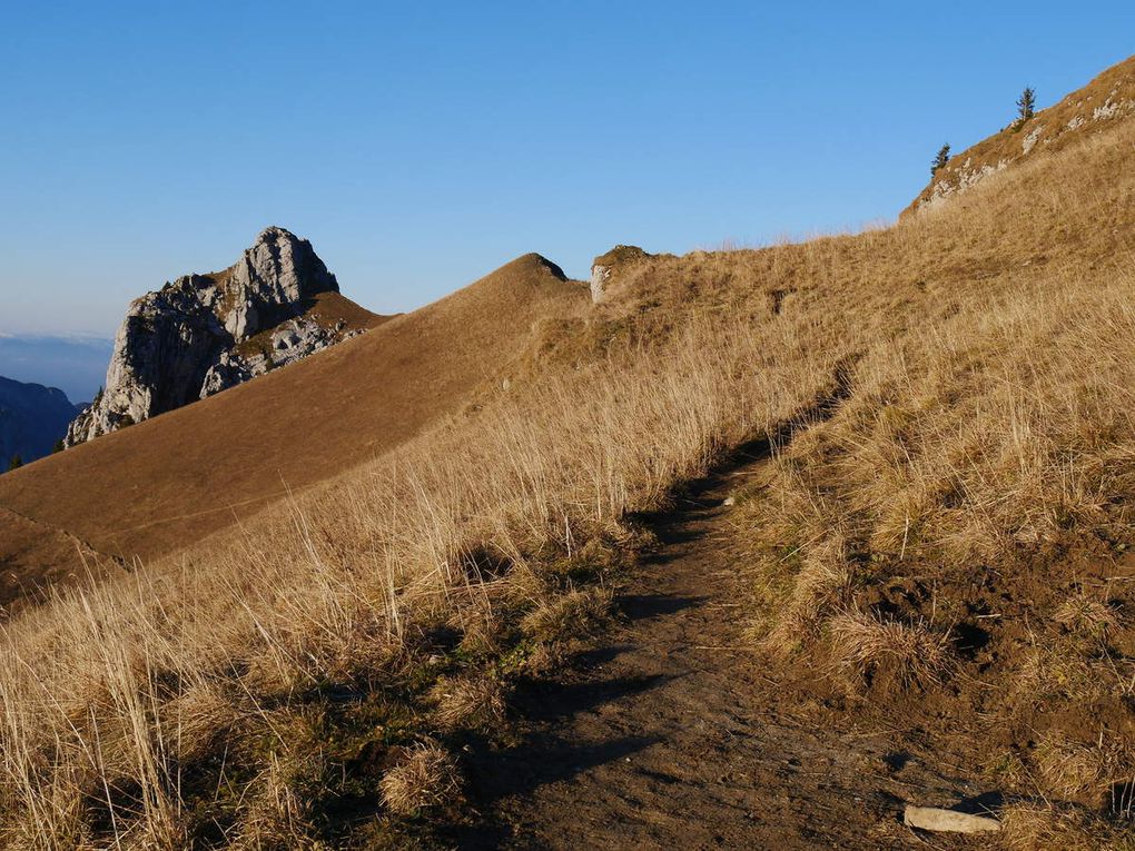 Le Trélod 2181m - (Bauges)