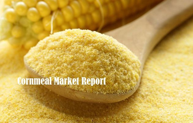 Cornmeal Market | | Industry Analysis and Forecast – 2025