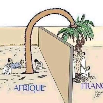 La Françafrique en image
