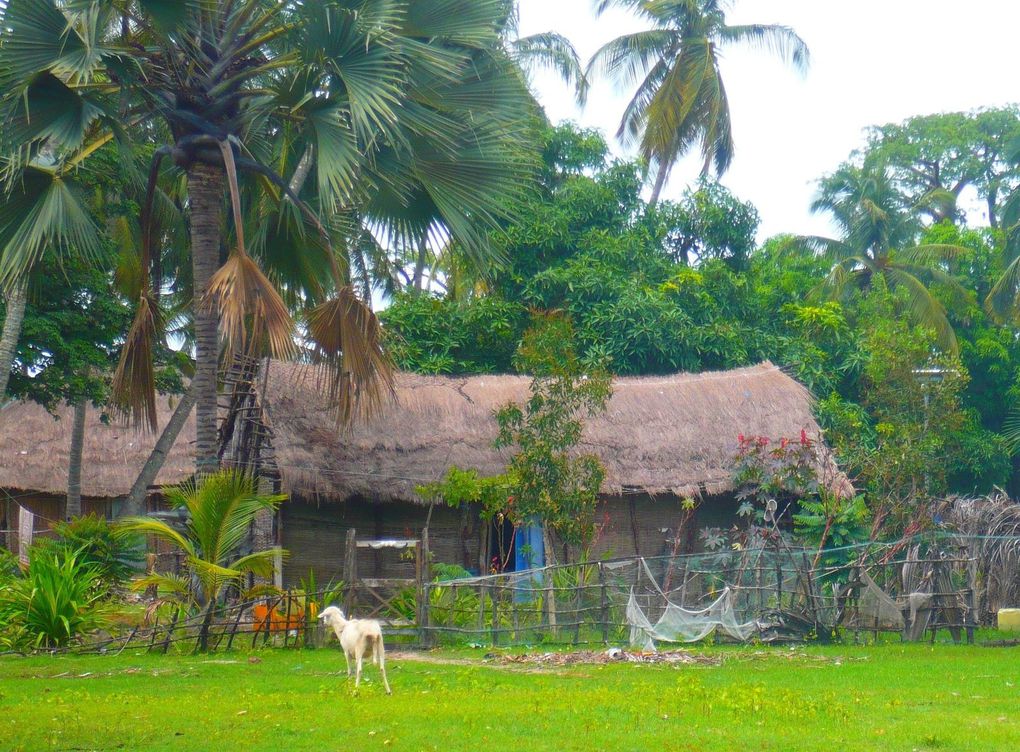 Album - La Casamance