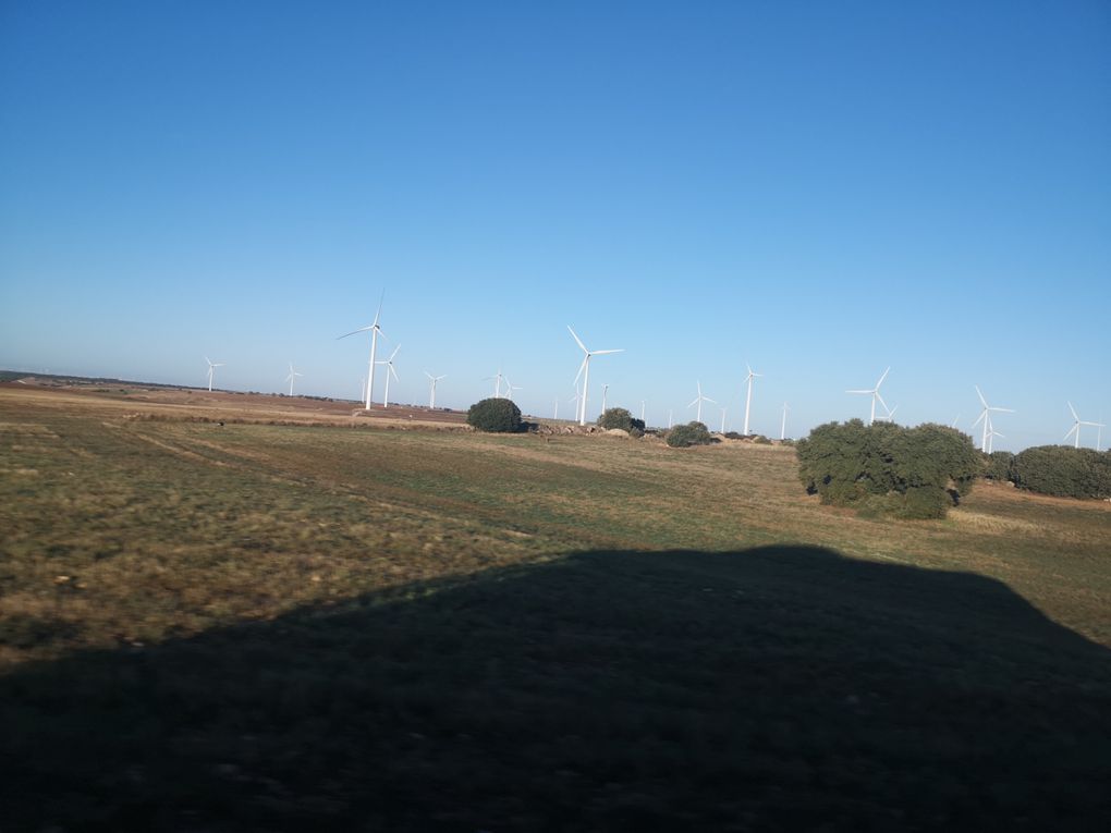 PÈLERINAGE DIOCÉSAIN À SAINT JACQUES DE COMPOSTELLE, SEPTEMBRE 2023