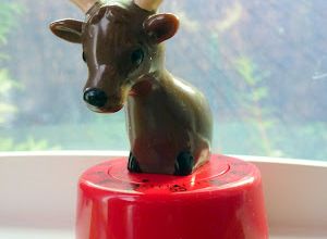 Dans la forêt, un grand cerf...