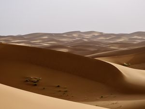 Le désert de MHAMID (Sud du Maroc 🇲🇦)