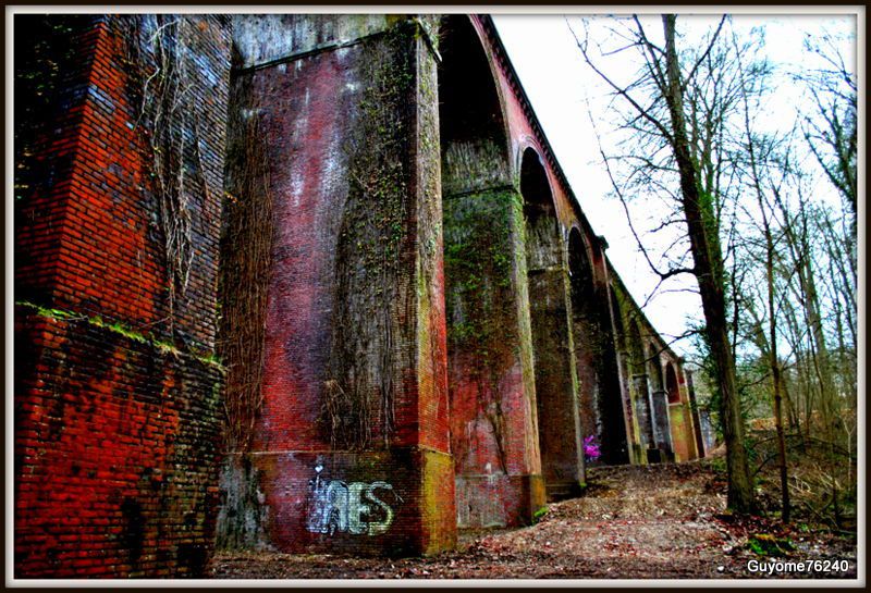 LE GRAND VIADUC DU BOIS DE LA LONDE ROUVRAY