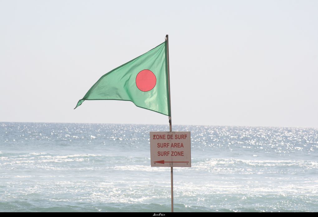 Album - Contis plage, Landes