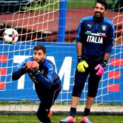 El Remplazo de Buffon