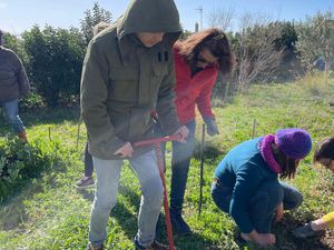 Atelier Horti-médiation au collège