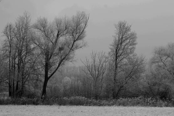 Quelques photos prises en Alsace, lieu de ma r&eacute;sidence.