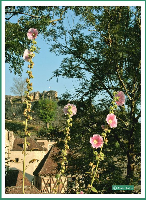 Album - saint-Cirq-lapopie