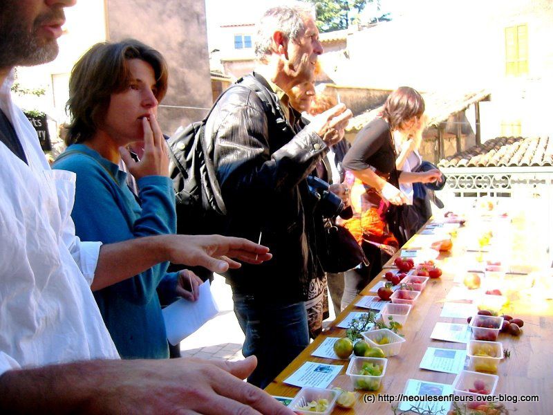 Exposition-dégustation d'une quarantaine de variétés de tomates par Néoules en Fleurs - Brignoles 16/09/2010