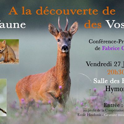 A la découverte de la faune des Vosges