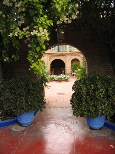 Le Jardin Majorelle et ses merveilleuses couleurs (même sous la pluie)