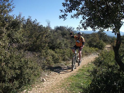 VTT 2010